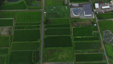 Aerial-tilt-shot-over-rice-fields,-revealing-a-town-in-rural-Nagano,-Japan