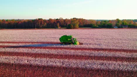 Orbiting-aerial-of-green-combine-machinery-on-a-cotton-field-at-sunset