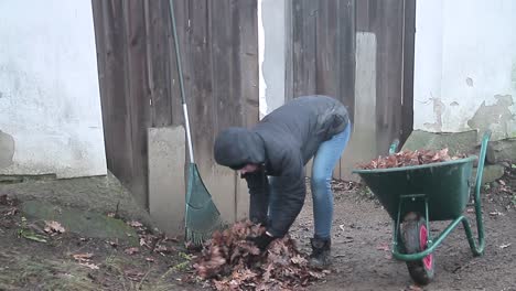 raking-up-leaves-in-Autumn-in-the-garden-with-people-stock-footage-stock-video