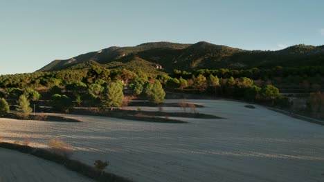 Drone-approaching-pine-mountain-Fuente-Roja,-Sierra-Mariola,-Alcoy,-Alicante,-Spain