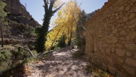 Path-in-mediterranean-forest-with-poplars,-trees,-passing-near-a-stone-cottage-with-leaves-falling