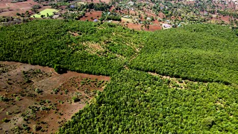 Vista-De-Drones--Bosque-De-África--Incendio-Forestal-De-África