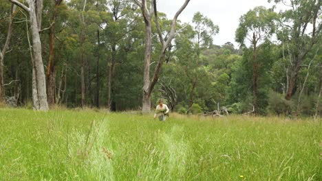 Historisch-Aussehender-Australischer-Siedler-Trägt-Gras-Durch-Ein-Feld-Im-Busch
