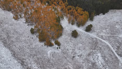 Top-down-view-of-some-remote-trees-and-light-snow-with-peaked-Colorado-fall-colors