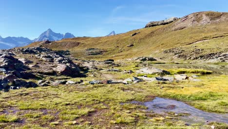 Mountain-Freedom:-Matterhorn-Mountain-Landscape-Near-Rotenboden-and-Gornergart,-Switzerland,-Europe-|-Moving-Over-Wet-Grass-and-High-Rocks