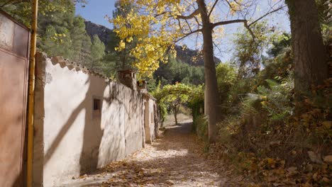 Path-in-mediterranean-forest-with-poplars,-trees,-passing-near-a-stone-cottage