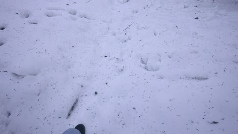 Hombre-Filmándose-A-Sí-Mismo-Caminando-En-La-Nieve-Con-Ropa-De-Invierno