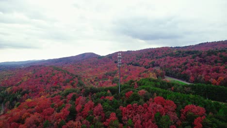 Isolated-cell-phone-tower-in-the-middle-of-forest-during-fall-season