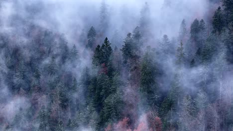 Luftaufnahmen-über-Einem-Sehr-Stimmungsvollen,-Dunklen-Und-Kalten-Wald-Mit-Sich-Schnell-Bewegenden-Wolken-In-4K