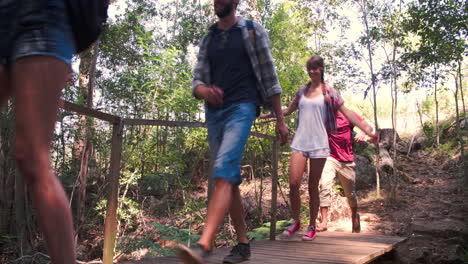 Amigos-Caminando-Sobre-Un-Pequeño-Puente-De-Madera-En-Un-Bosque.