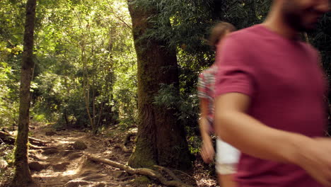 Low-angle-shot-of-friends-walking-downhill-through-a-forest