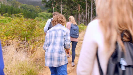 Multi-generation-family-walking-in-the-countryside,-back-view
