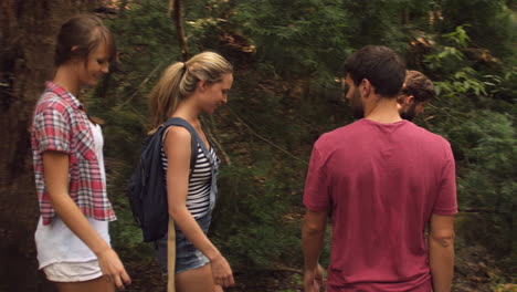 Group-of-friends-walking-downhill-through-a-forest