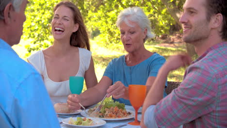 Ein-älteres-Und-Ein-Junges-Erwachsenes-Paar-Essen-Gemeinsam-Im-Freien