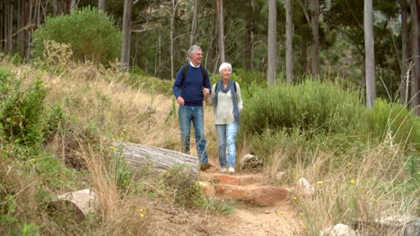 Senior-couple-walking-towards-the-camera-on-rural-path