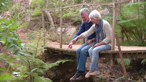 Senior-couple-sitting-on-a-wooden-bridge-in-forest