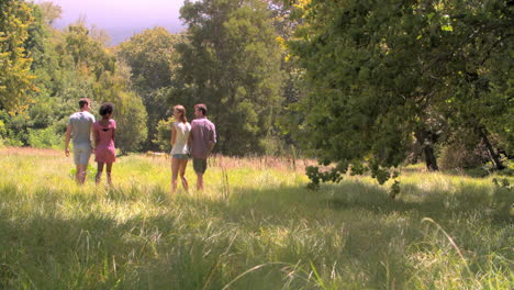 Two-couples-walking-together-in-the-countryside