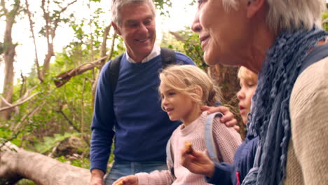 Senior-adults-with-grandchildren-eating-outdoors-in-a-forest