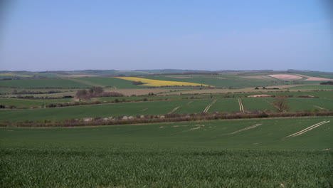 Panoramic-View-Of-Summer-Farm-Fields-With-Crops-In-UK