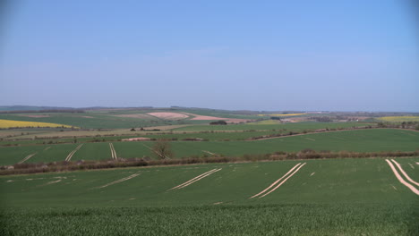 Vista-Panorámica-De-Los-Campos-Agrícolas-De-Verano-Con-Cultivos-En-El-Reino-Unido.