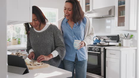 Middle-aged-woman-preparing-food-in-the-kitchen,-her-adult-daughter-standing-with-her-talking