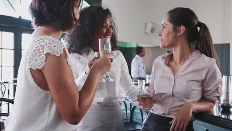 Drei-Geschäftsfrauen-Treffen-Sich-Zu-Einem-After-Work-Drink-In-Der-Bar-Und-Stoßen-An