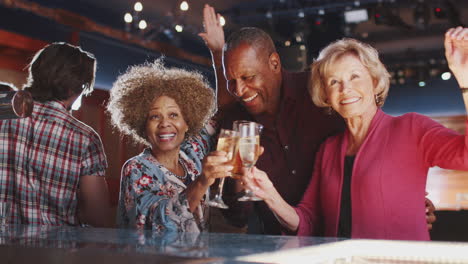 Porträt-älterer-Freunde,-Die-Gemeinsam-In-Der-Bar-Trinken