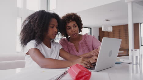 Middle-aged-black-woman-helping-her-teenage-daughter,-using-a-laptop-to-do-her-homework,-close-up
