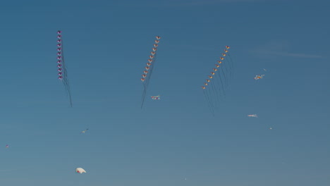 Group-of-kites-performing-in-the-air-on-Wind-Festival-Valencia