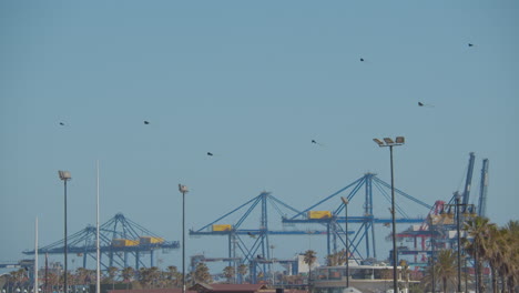 Flying-kites-and-container-cranes-in-the-port-Valencia