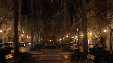 Palm-lined-walkway-in-night-Valencia-Spain