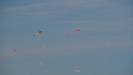 A-flying-flock-of-multicolor-kites