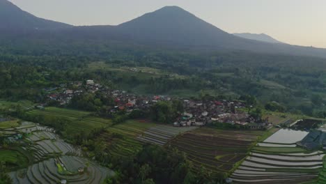 Die-Drohnenkamera-Bewegt-Sich-Vorwärts,-Wo-Die-Umliegenden-Bali-Reisterrassen-Liegen
