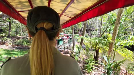 Women-sightseeing-while-riding-on-a-small-train-as-it-travels-over-a-scenic-bridge-in-a-Wildlife-Sanctuary-park