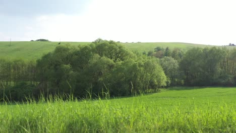 Side-driving-point-of-view-POV-of-a-green-rural-country-with-meadow-and-trees---ideal-for-interior-car-scene-green-screen-replacement