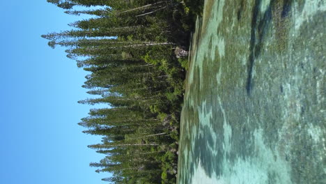 Flying-along-the-shallow-waters-along-the-cost-of-the-Isle-of-Pines-near-the-Natural-Pool---vertical