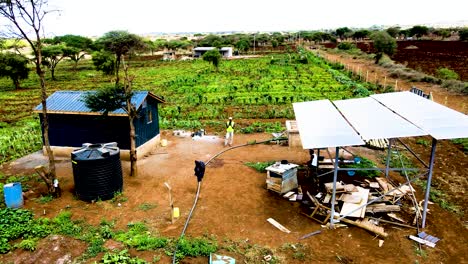 Ländliche-Landwirtschaftliche-Betriebe-In-Kenia