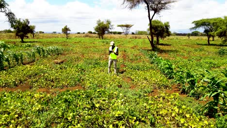 Ländliche-Landwirtschaftliche-Betriebe-In-Kenia