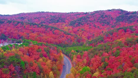 multi-coloured-nature-viewed-from-birds-view-juicy-dreamy-location-out-of-the-world-heaven-on-earth-red-yellow-green-trees-mountains-parking-space-road-through-greenery-car-drives-by-Dalton-Georgia