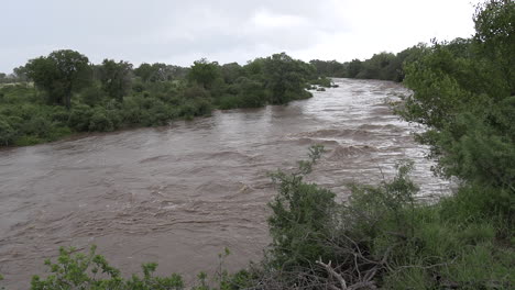 Rushing-waters-in-the-aftermath-of-a-flash-flood-in-Kruger-National-Park,-South-Africa