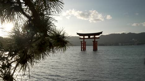 Kiefernzweig,-Der-Sich-Sanft-Bewegt,-Mit-Blick-Auf-Das-Schwimmende-Grand-Torii-Tor-Während-Des-Sonnenuntergangs-Im-Hintergrund-Von-Itsukushima