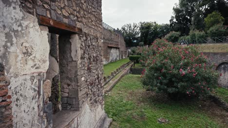 Floreciente-Jardín-En-Medio-De-Las-Ruinas-De-Pompeya