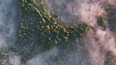 Overhead-view-from-high-above-the-epic-fog-and-trees-with-sprinkles-of-fall-foliage