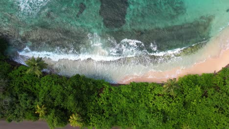 Drone-footage-of-white-sandy-beach,-trees-near-the-beach,-turquoise-water-near-the-road,-passing-vehicle,-Mahe,-Seychelles-60fps