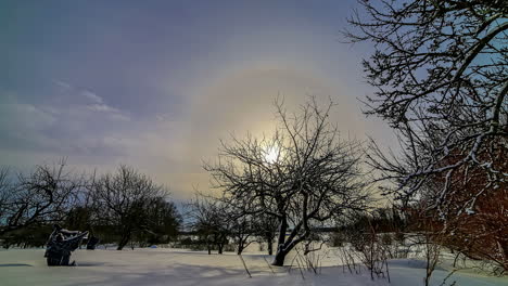 Sunrise-Halo-time-lapse-in-winter-rural-snowy-region-with-snow-on-tree-and-ground