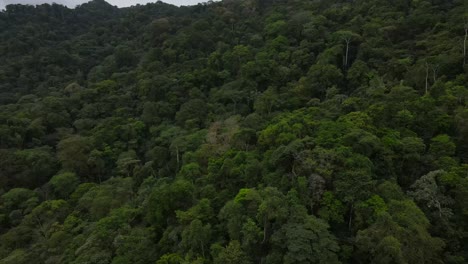 Drone-shot-of-island-Bahia-Solano-flying-over-jungle-exposing-the-pacific-ocean