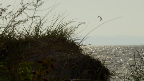 Vegetation-on-cliff-with-kite-surfing-in-distance