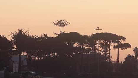 Golden-hour-atmosphere-with-trees,-location-Estoril,-town-in-the-Municipality-of-Cascais,-Portugal,-on-the-Portuguese-Riviera