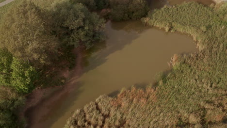 Luftaufnahme-über-Einem-Grasbewachsenen-Sumpf