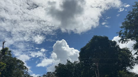 Time-lapse-of-clouds-against-blue-sky-on-sunny-day-in-forest